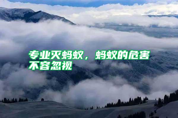 專業(yè)滅螞蟻，螞蟻的危害不容忽視