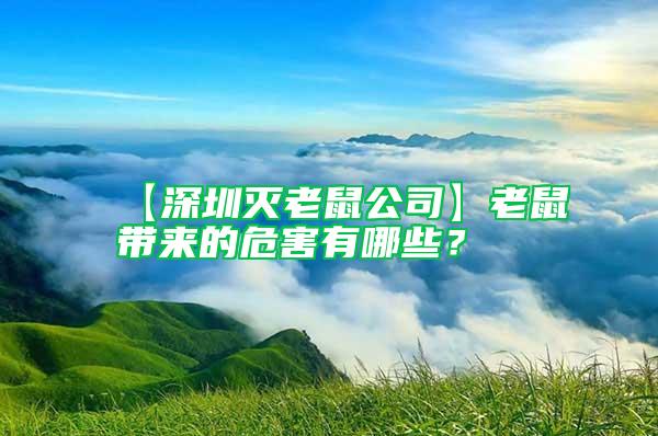【深圳滅老鼠公司】老鼠帶來的危害有哪些？