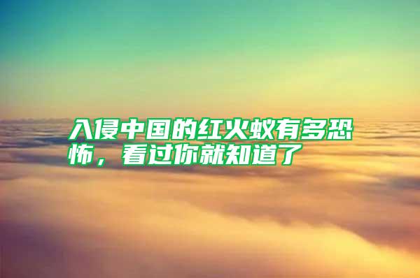 入侵中國的紅火蟻有多恐怖，看過你就知道了