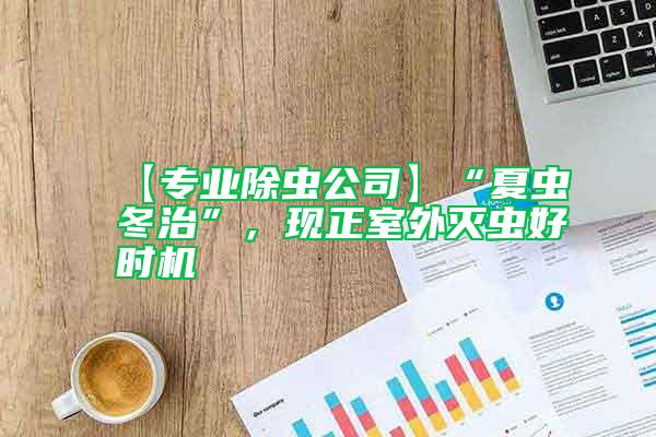 【專業(yè)除蟲公司】“夏蟲冬治”，現(xiàn)正室外滅蟲好時機
