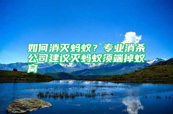 如何消滅螞蟻？專業(yè)消殺公司建議滅螞蟻須端掉蟻窩