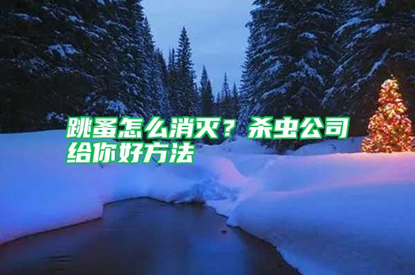 跳蚤怎么消滅？殺蟲公司給你好方法