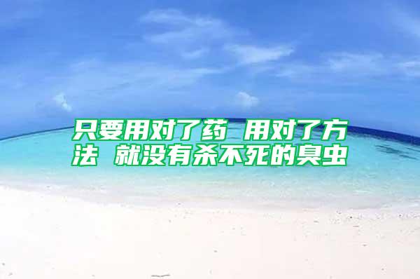 只要用對(duì)了藥 用對(duì)了方法 就沒有殺不死的臭蟲