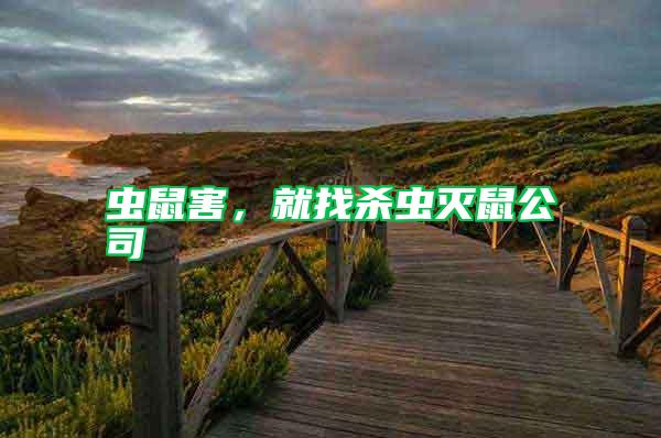 蟲鼠害，就找殺蟲滅鼠公司