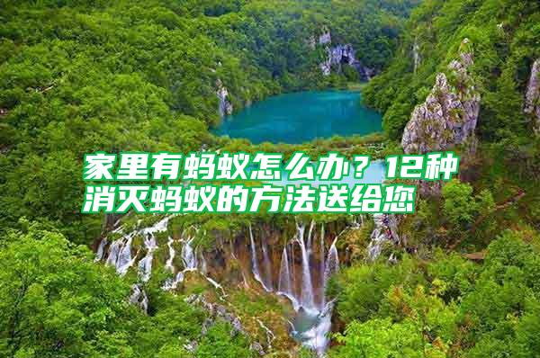 家里有螞蟻怎么辦？12種消滅螞蟻的方法送給您