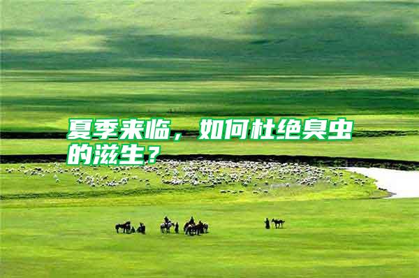 夏季來臨，如何杜絕臭蟲的滋生？