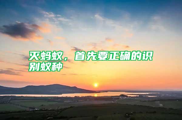 滅螞蟻，首先要正確的識別蟻種