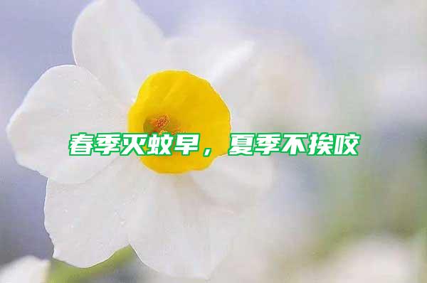 春季滅蚊早，夏季不挨咬