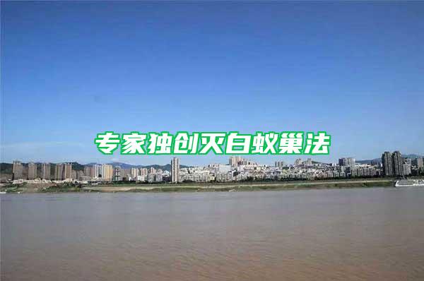 專家獨(dú)創(chuàng)滅白蟻巢法