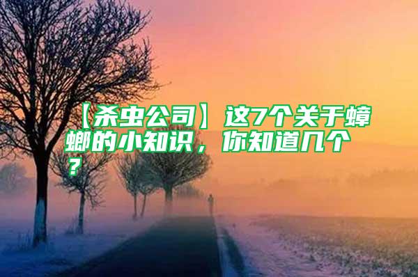 【殺蟲公司】這7個關(guān)于蟑螂的小知識，你知道幾個？