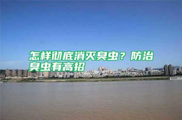 怎樣徹底消滅臭蟲？防治臭蟲有高招