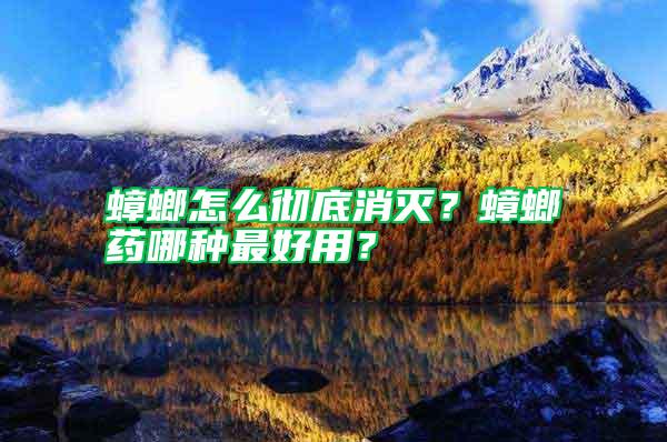 蟑螂怎么徹底消滅？蟑螂藥哪種最好用？