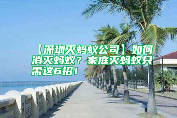 【深圳滅螞蟻公司】如何消滅螞蟻？家庭滅螞蟻只需這6招！