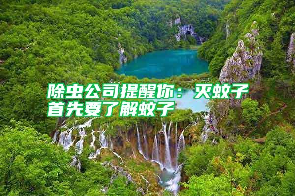 除蟲(chóng)公司提醒你：滅蚊子首先要了解蚊子
