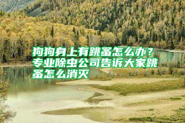 狗狗身上有跳蚤怎么辦？專業(yè)除蟲公司告訴大家跳蚤怎么消滅