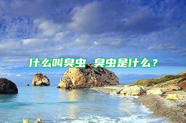 什么叫臭蟲(chóng) 臭蟲(chóng)是什么？