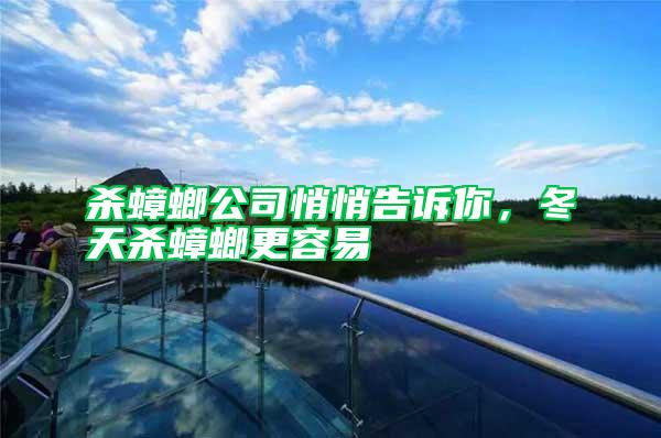 殺蟑螂公司悄悄告訴你，冬天殺蟑螂更容易