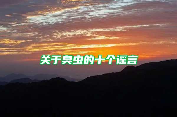 關(guān)于臭蟲的十個(gè)謠言