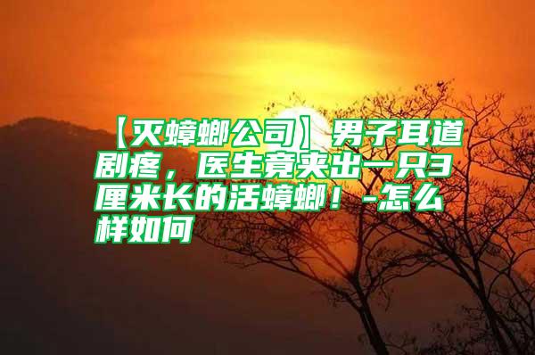 【滅蟑螂公司】男子耳道劇疼，醫(yī)生竟夾出一只3厘米長(zhǎng)的活蟑螂！-怎么樣如何
