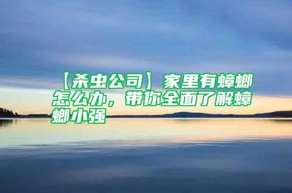 【殺蟲(chóng)公司】家里有蟑螂怎么辦，帶你全面了解蟑螂小強(qiáng)