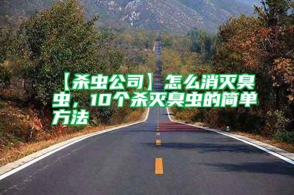 【殺蟲(chóng)公司】怎么消滅臭蟲(chóng)，10個(gè)殺滅臭蟲(chóng)的簡(jiǎn)單方法