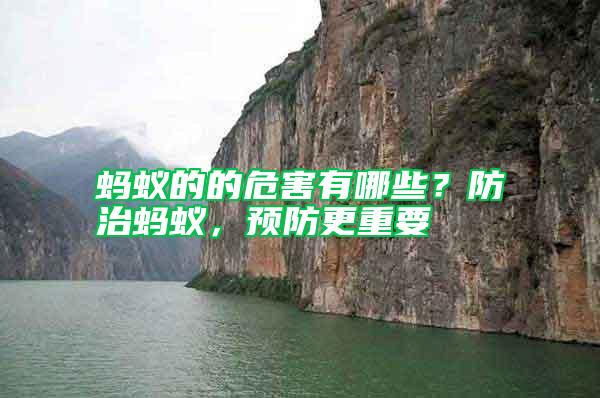 螞蟻的的危害有哪些？防治螞蟻，預(yù)防更重要