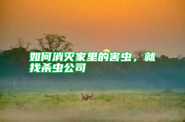 如何消滅家里的害蟲，就找殺蟲公司