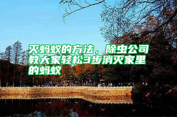 滅螞蟻的方法，除蟲(chóng)公司教大家輕松3步消滅家里的螞蟻