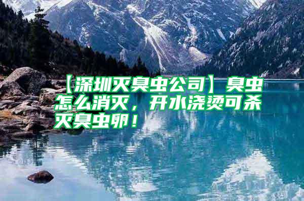 【深圳滅臭蟲公司】臭蟲怎么消滅，開水澆燙可殺滅臭蟲卵！