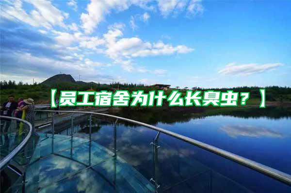 【員工宿舍為什么長臭蟲？】
