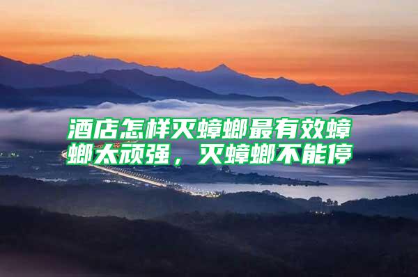 酒店怎樣滅蟑螂最有效蟑螂太頑強(qiáng)，滅蟑螂不能停