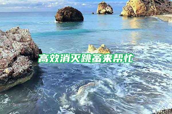 高效消滅跳蚤來(lái)幫忙