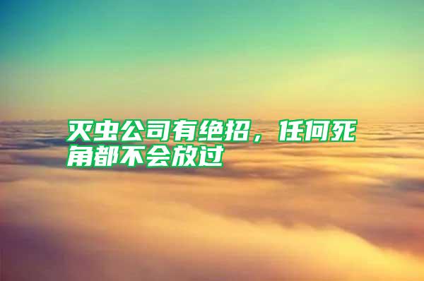 滅蟲(chóng)公司有絕招，任何死角都不會(huì)放過(guò)