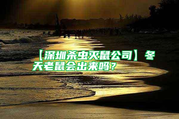 【深圳殺蟲(chóng)滅鼠公司】冬天老鼠會(huì)出來(lái)嗎？