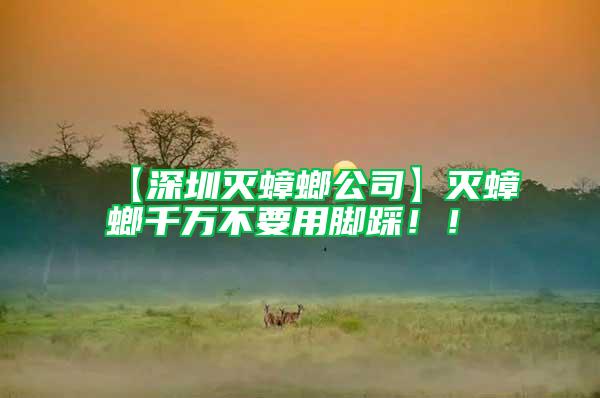 【深圳滅蟑螂公司】滅蟑螂千萬(wàn)不要用腳踩！！