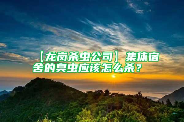 【龍崗殺蟲(chóng)公司】集體宿舍的臭蟲(chóng)應(yīng)該怎么殺？