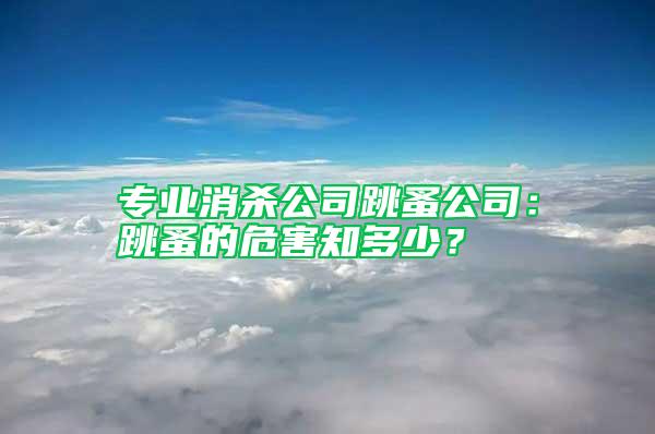 專業(yè)消殺公司跳蚤公司：跳蚤的危害知多少？