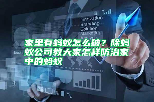 家里有螞蟻怎么破？除螞蟻公司教大家怎樣防治家中的螞蟻