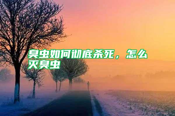 臭蟲如何徹底殺死，怎么滅臭蟲