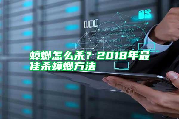 蟑螂怎么殺？2018年最佳殺蟑螂方法