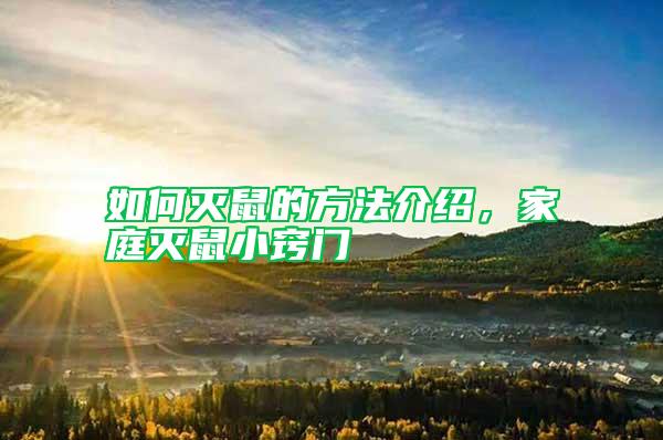 如何滅鼠的方法介紹，家庭滅鼠小竅門