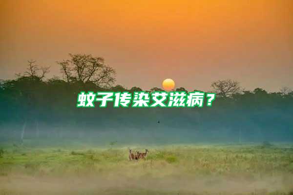 蚊子傳染艾滋??？
