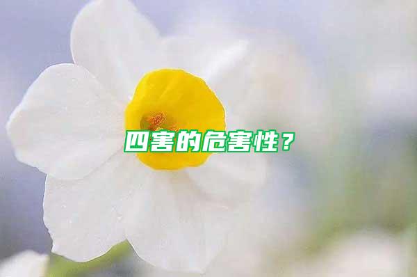 四害的危害性？