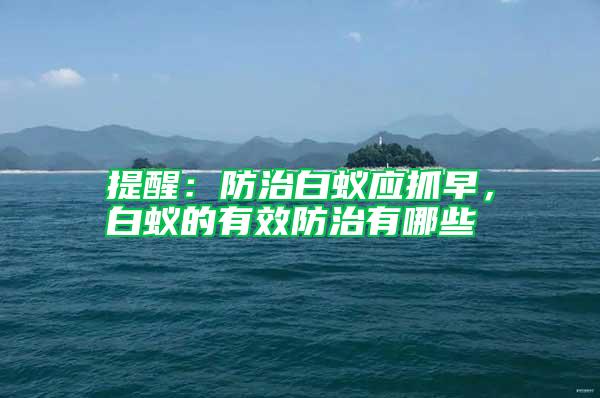 提醒：防治白蟻應(yīng)抓早，白蟻的有效防治有哪些