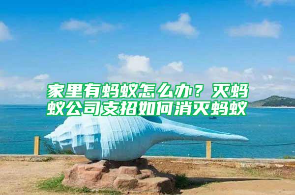 家里有螞蟻怎么辦？滅螞蟻公司支招如何消滅螞蟻