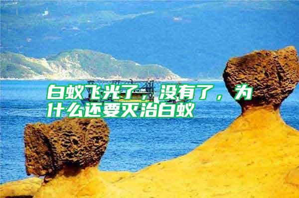 白蟻飛光了，沒(méi)有了，為什么還要滅治白蟻
