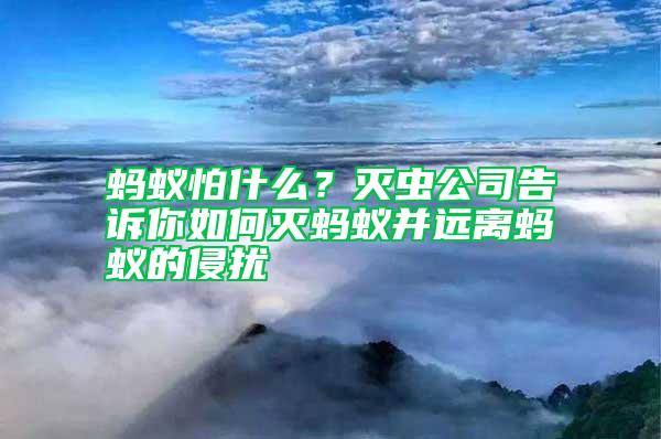 螞蟻怕什么？滅蟲(chóng)公司告訴你如何滅螞蟻并遠(yuǎn)離螞蟻的侵?jǐn)_