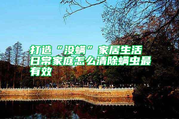 打造“沒(méi)螨”家居生活 日常家庭怎么清除螨蟲最有效