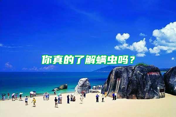 你真的了解螨蟲嗎？