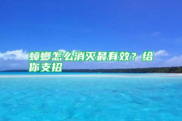 蟑螂怎么消滅最有效？給你支招